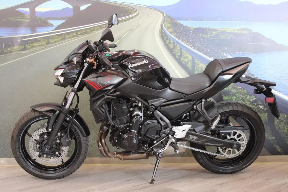 Kawasaki Z 650 (2021 - 24) (7)