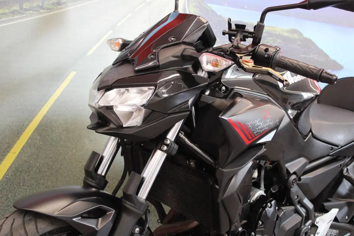 Kawasaki Z 650 (2021 - 24) (8)