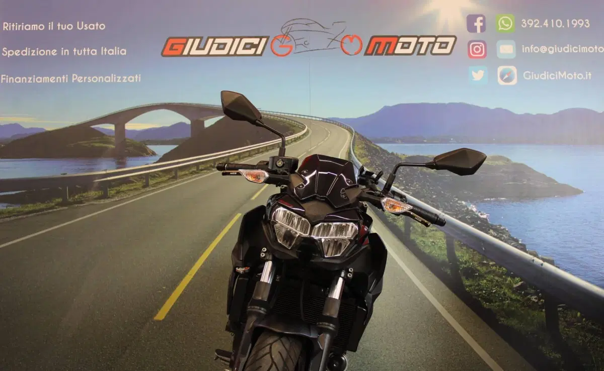 Kawasaki Z 650 (2021 - 24) (9)