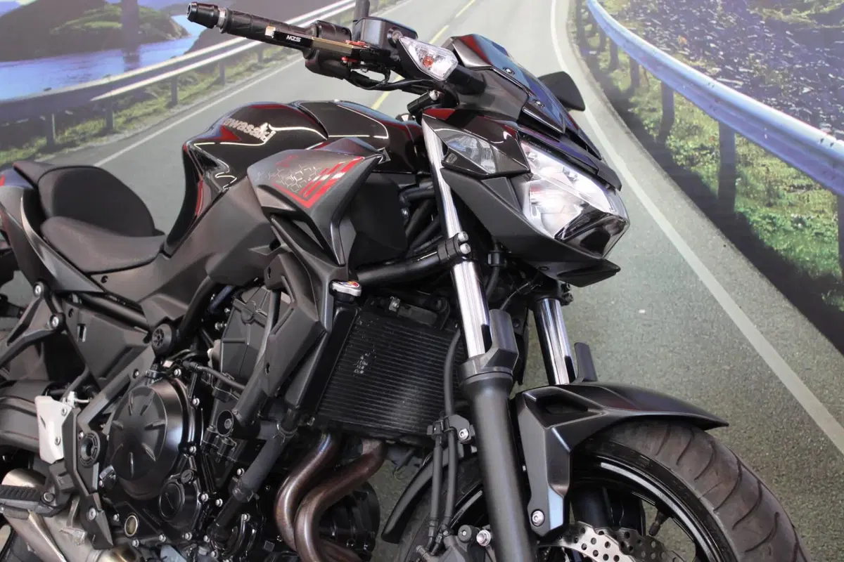 Kawasaki Z 650 (2021 - 24) (12)