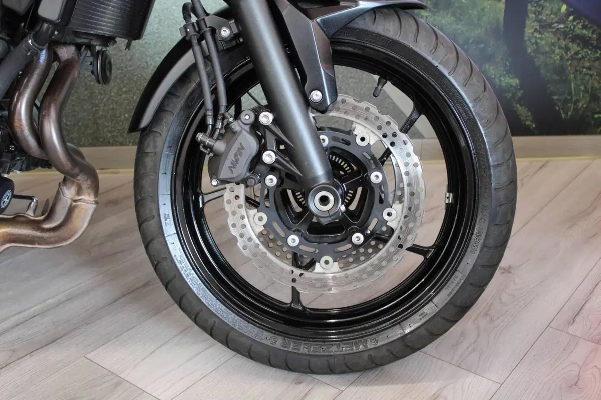 Kawasaki Z 650 (2021 - 24) (13)