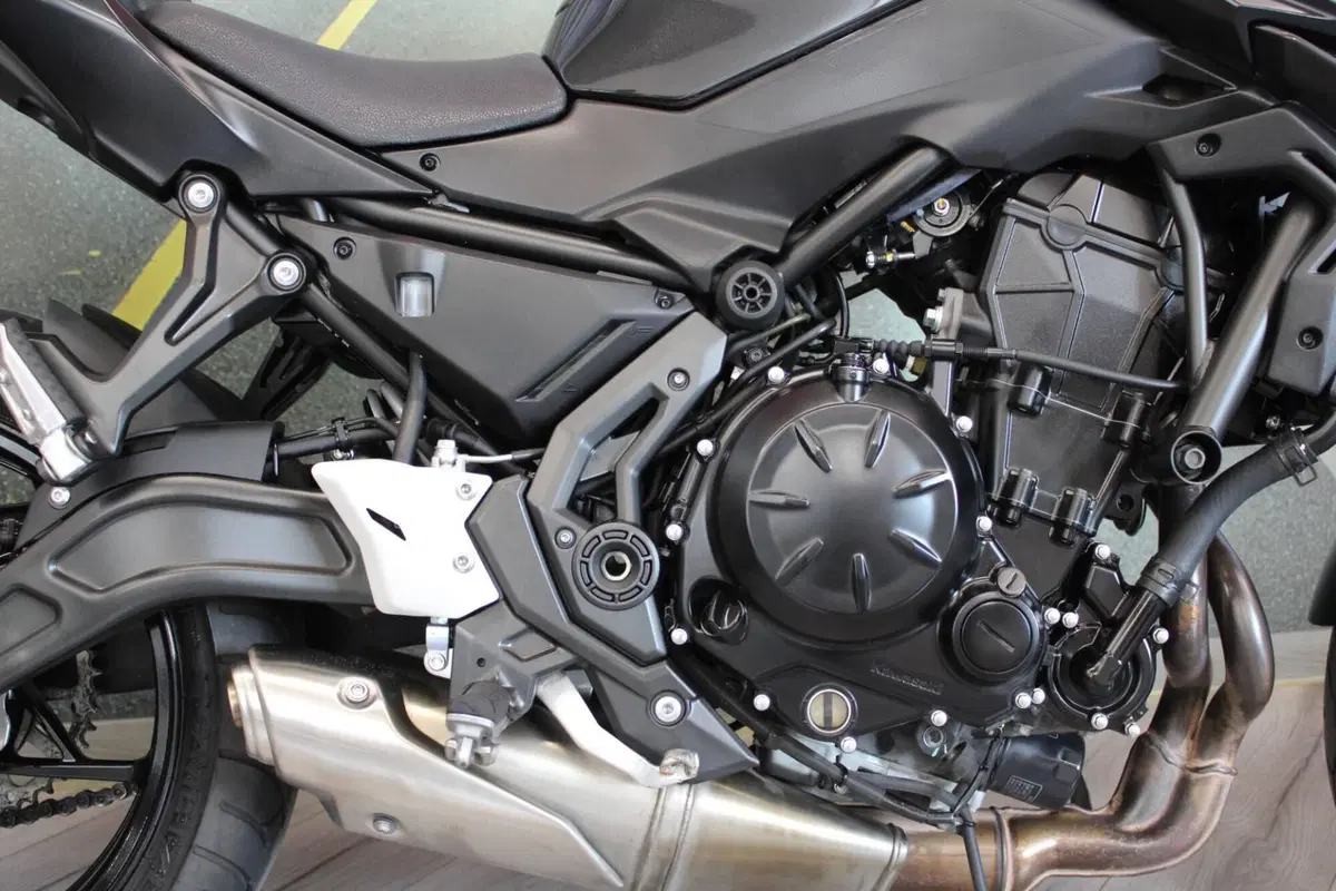 Kawasaki Z 650 (2021 - 24) (14)