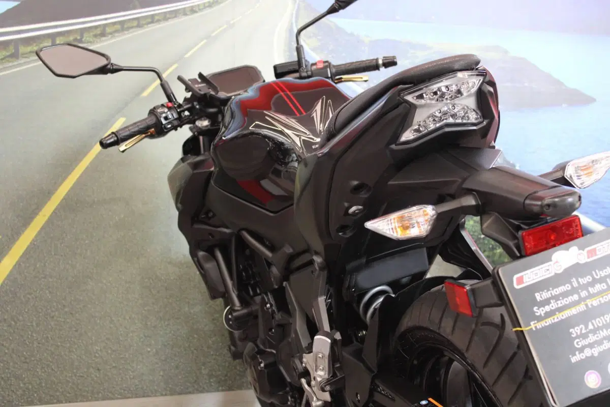 Kawasaki Z 650 (2021 - 24) (17)