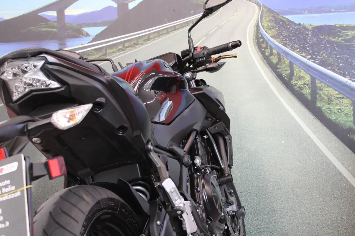Kawasaki Z 650 (2021 - 24) (18)