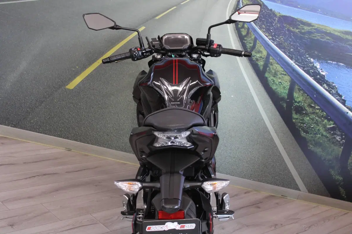 Kawasaki Z 650 (2021 - 24) (19)