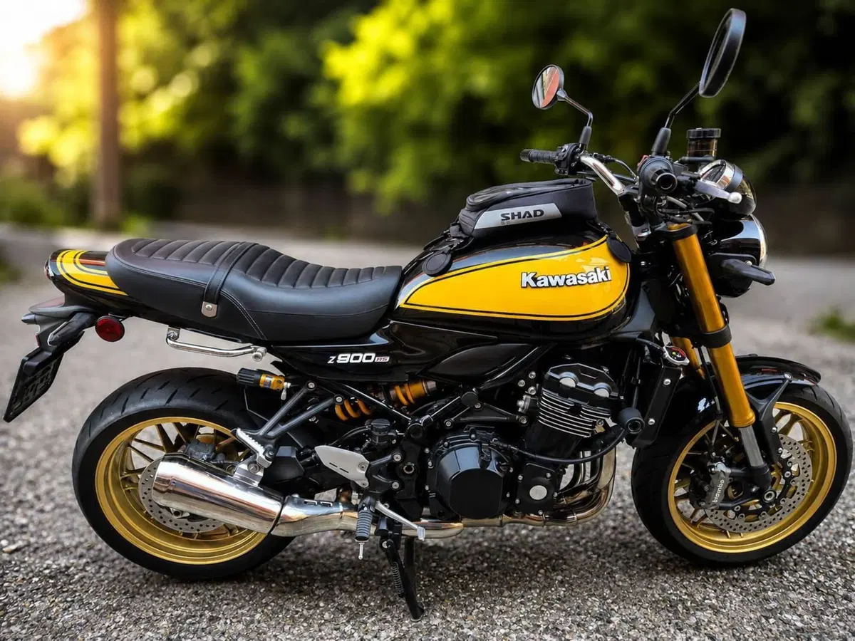 Kawasaki Z 900 RS SE (2022 - 25)