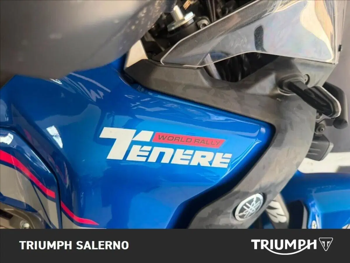 Yamaha Ténéré 700 World Raid (2022 - 25) (8)