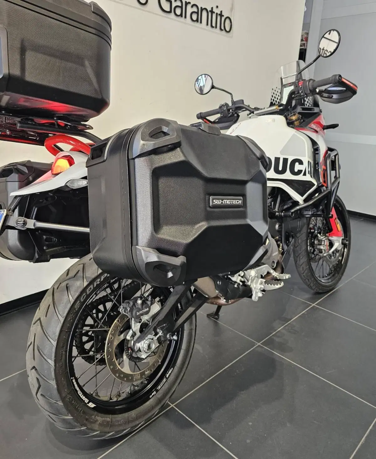 Ducati DesertX Rally (2024 - 25) (4)