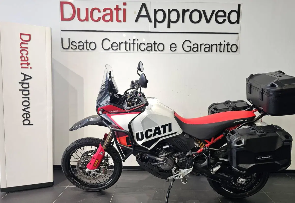 Ducati DesertX Rally (2024 - 25) (8)