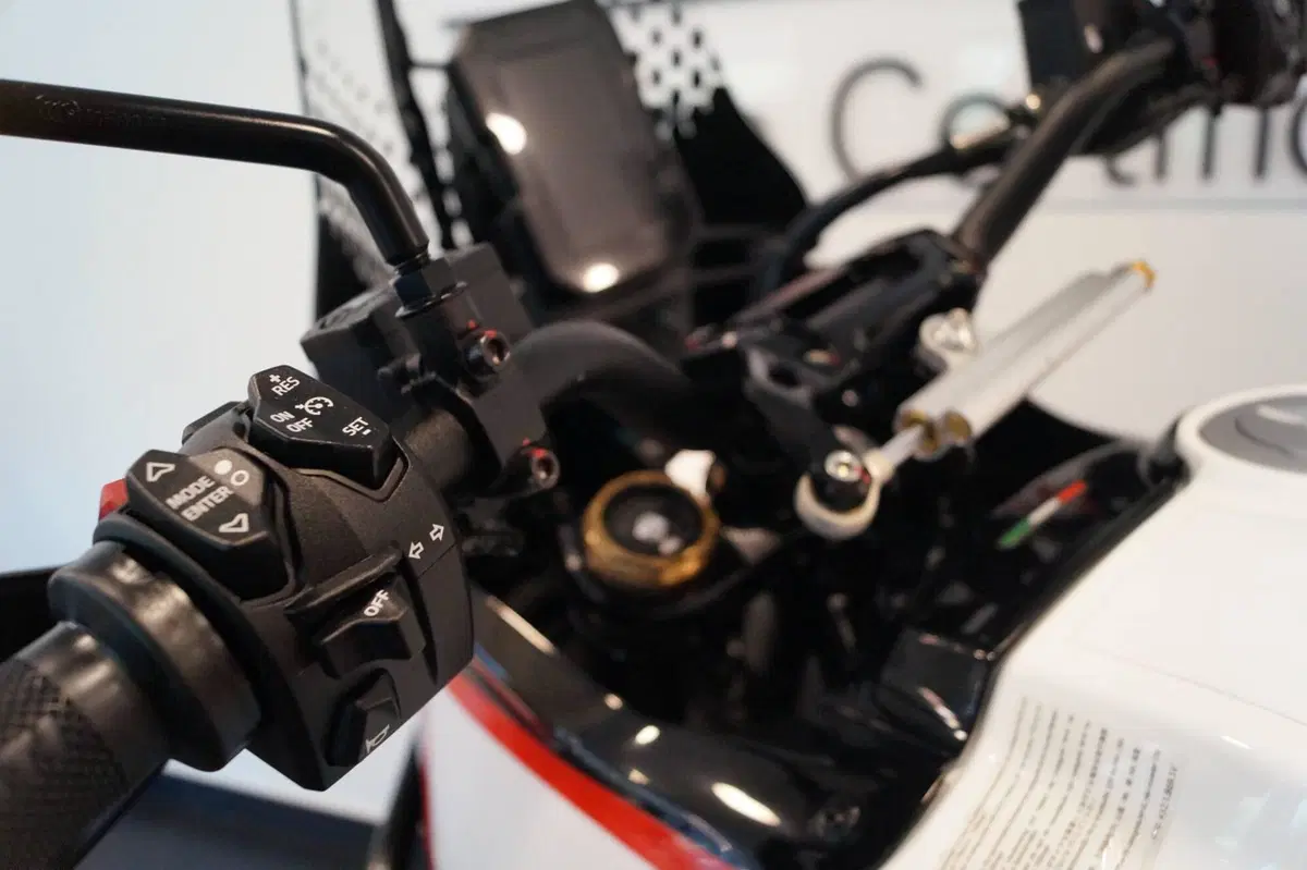 Ducati DesertX Rally (2024 - 25) (7)