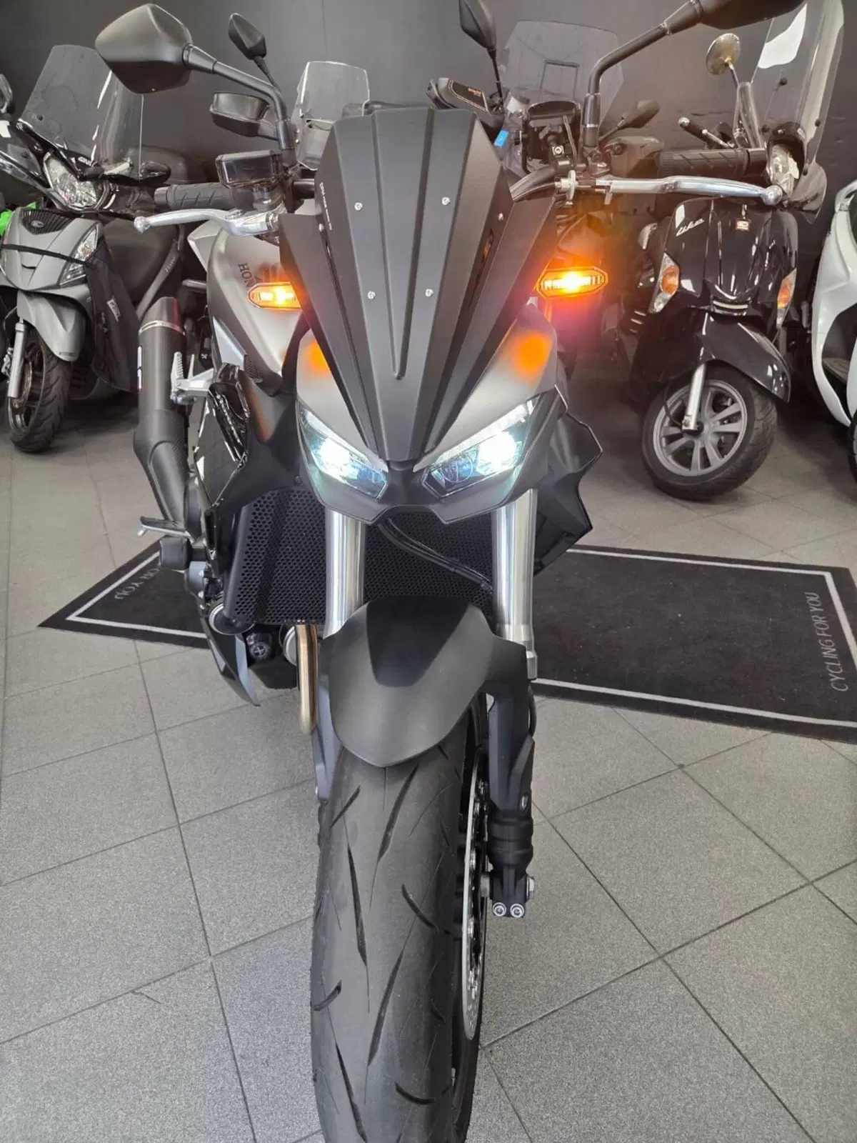 Honda CB 1000 Hornet (2025 - 26) (4)