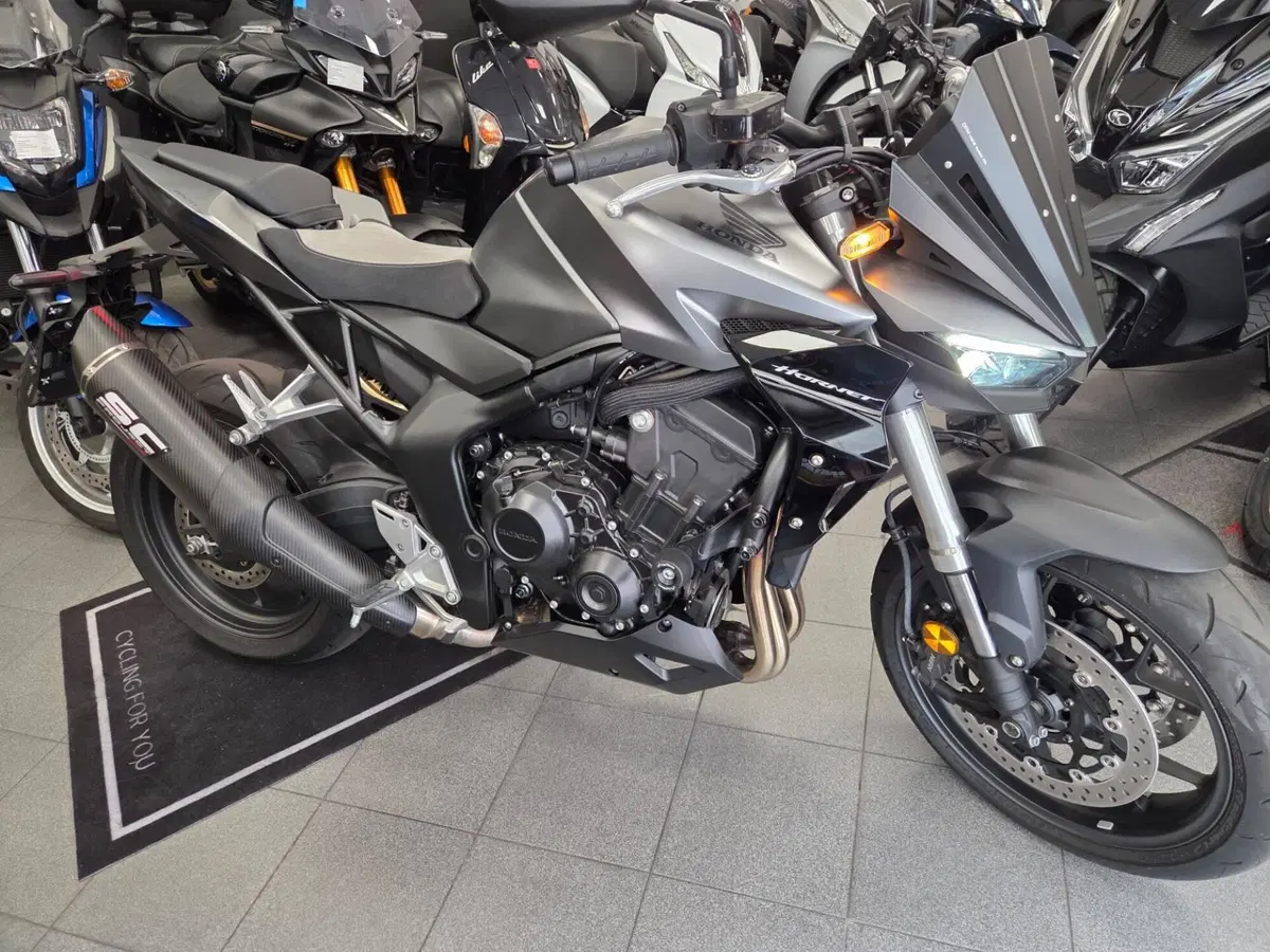 Honda CB 1000 Hornet (2025 - 26)