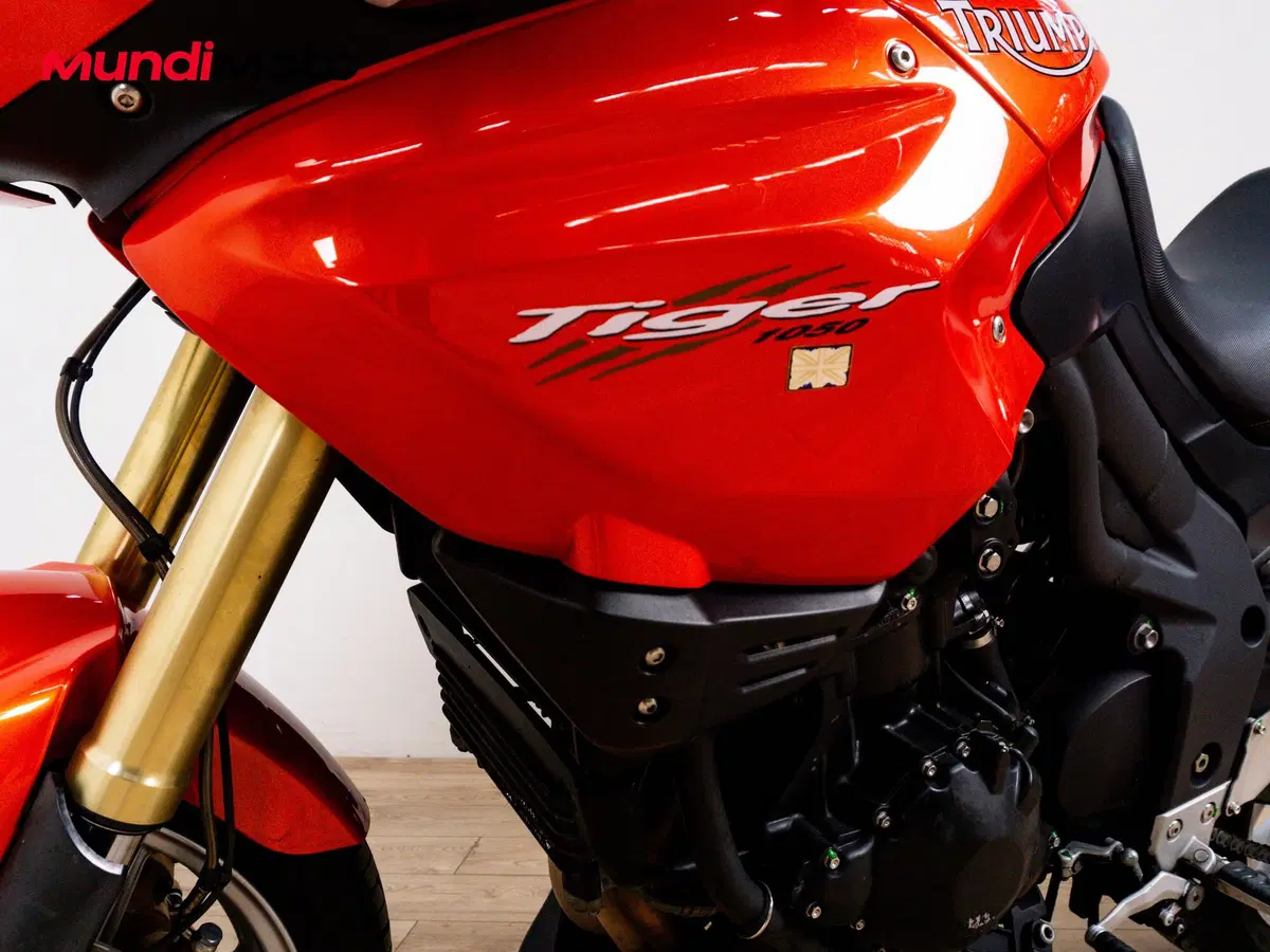 Triumph Tiger 1050 SE ABS (2006 - 13) (9)