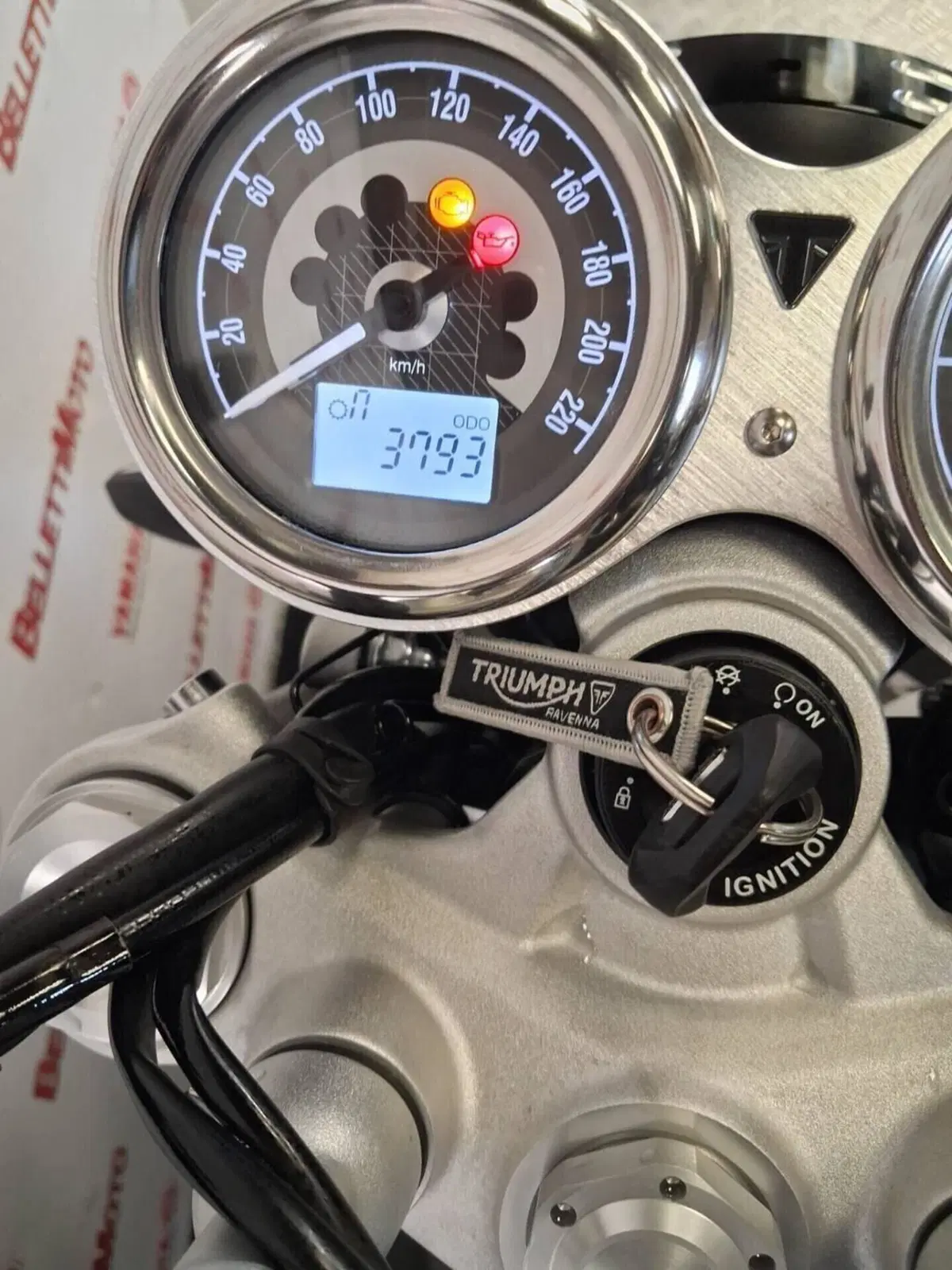 Triumph Speed Twin 1200 (2021 - 24) (4)