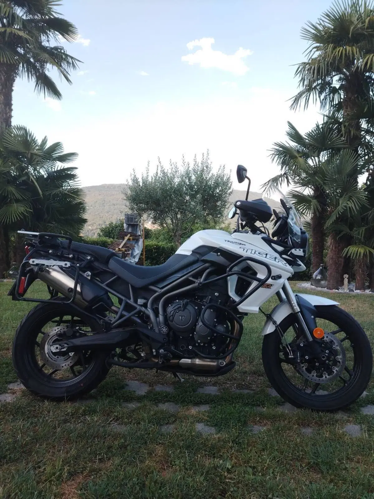 Triumph Tiger 800 XRt (2018 - 20) (2)