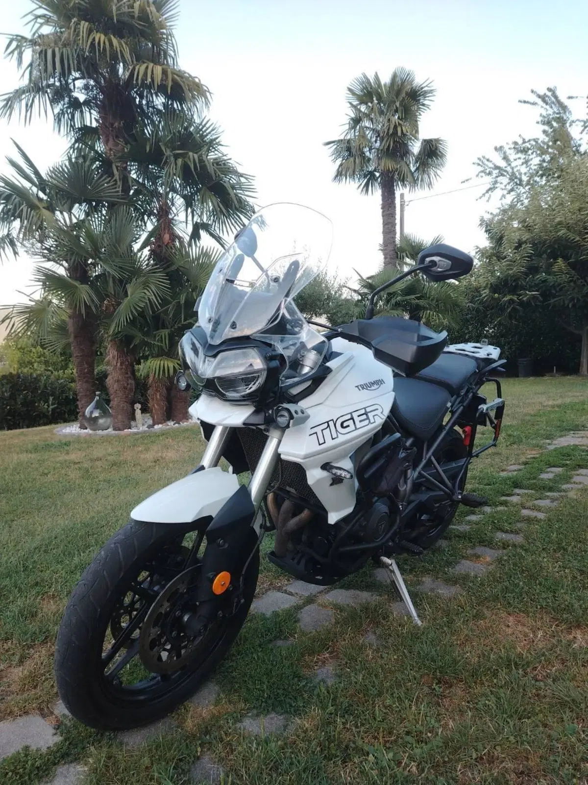 Triumph Tiger 800 XRt (2018 - 20) (3)