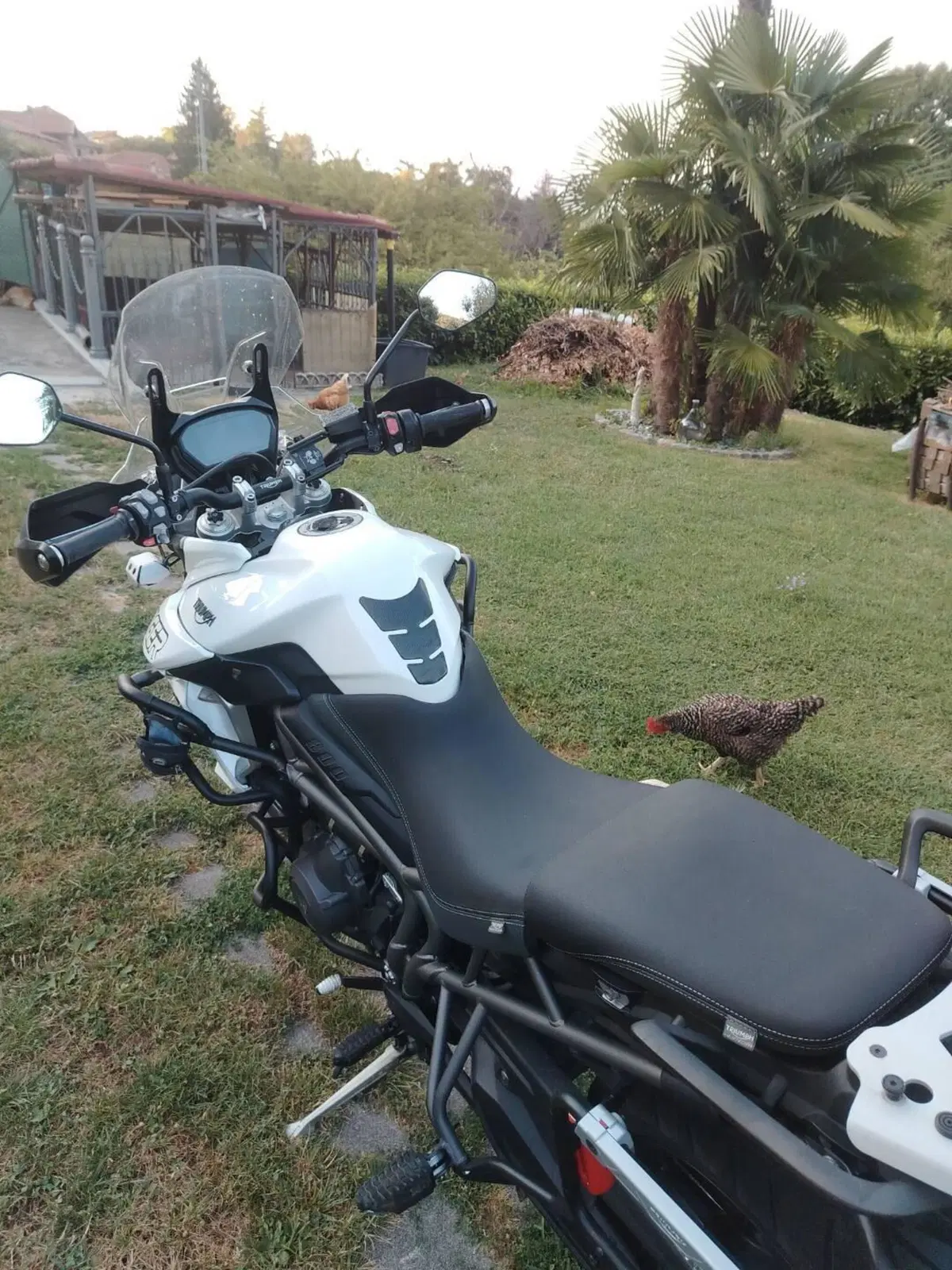 Triumph Tiger 800 XRt (2018 - 20) (4)
