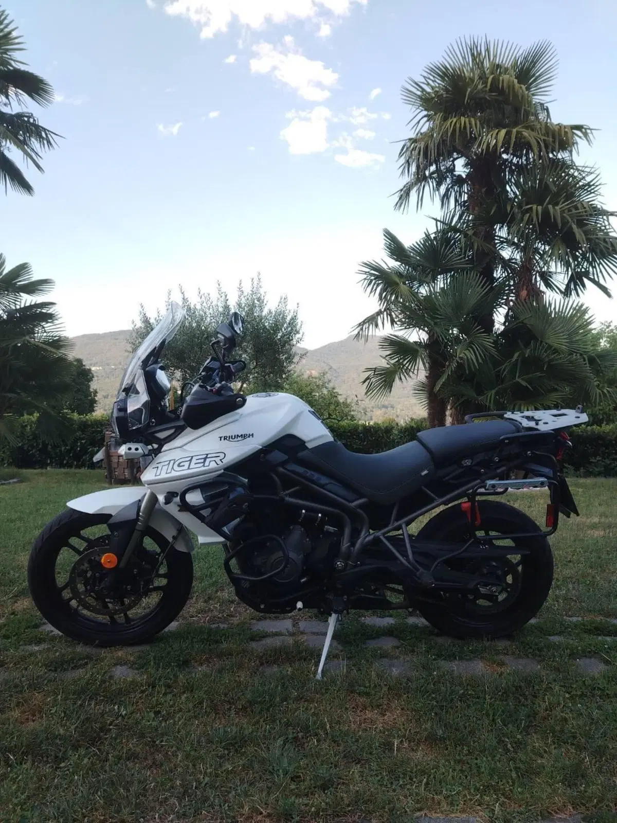 Triumph Tiger 800 XRt (2018 - 20) (5)