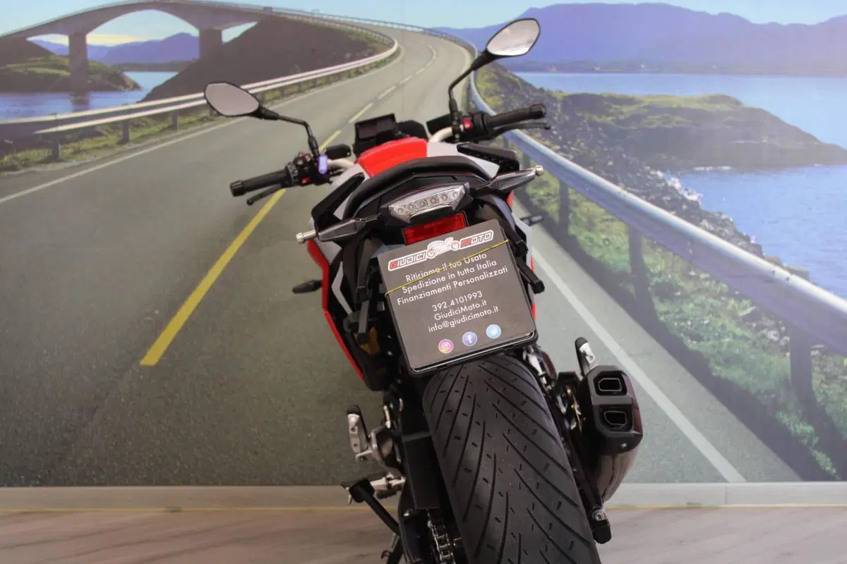 Bmw F 900 R (2021 - 24) (16)