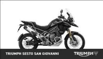 Triumph Tiger 1200 Rally Pro (2024 - 26) usata
