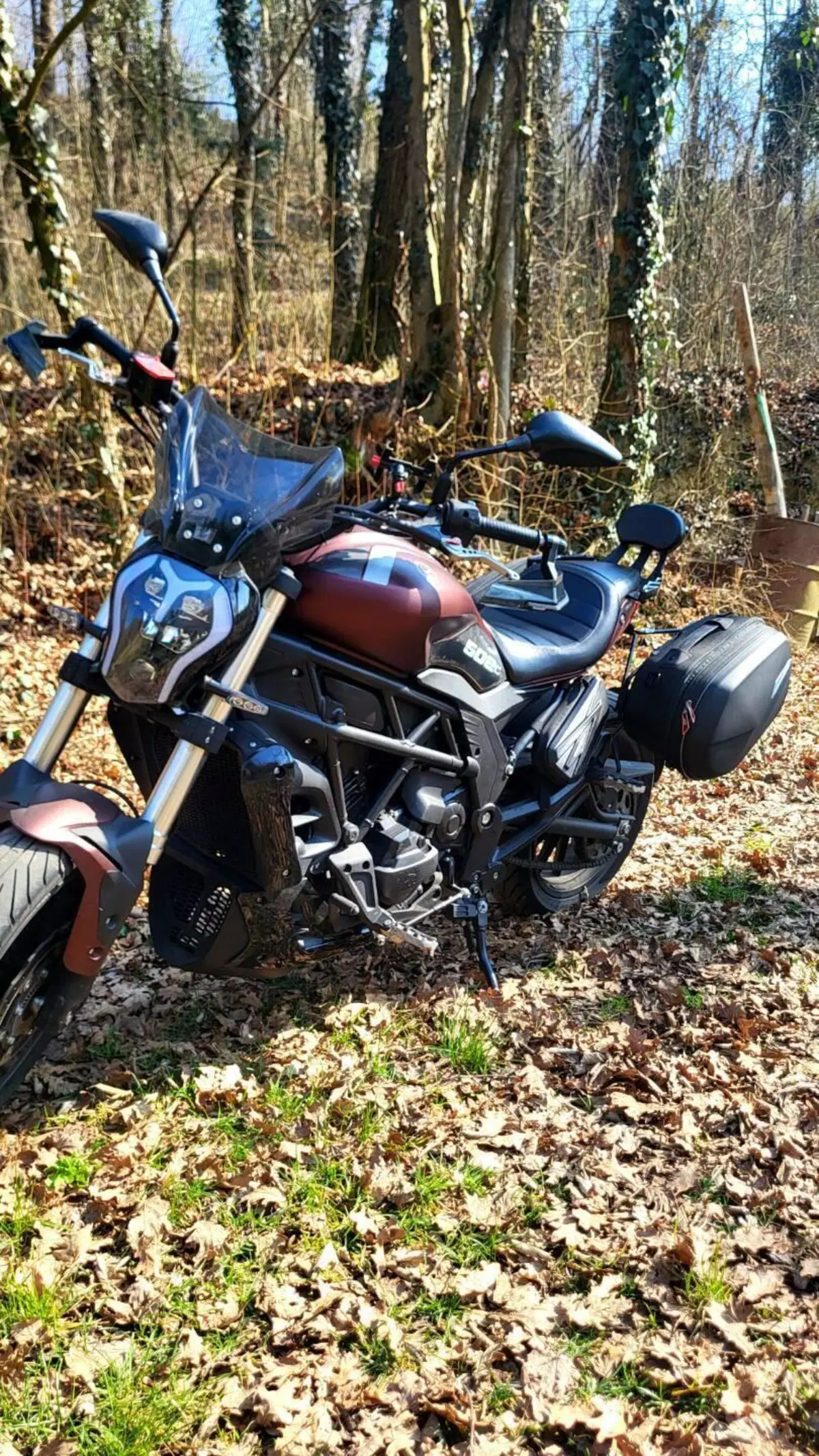 Benelli 502 C (2021 - 25) (6)