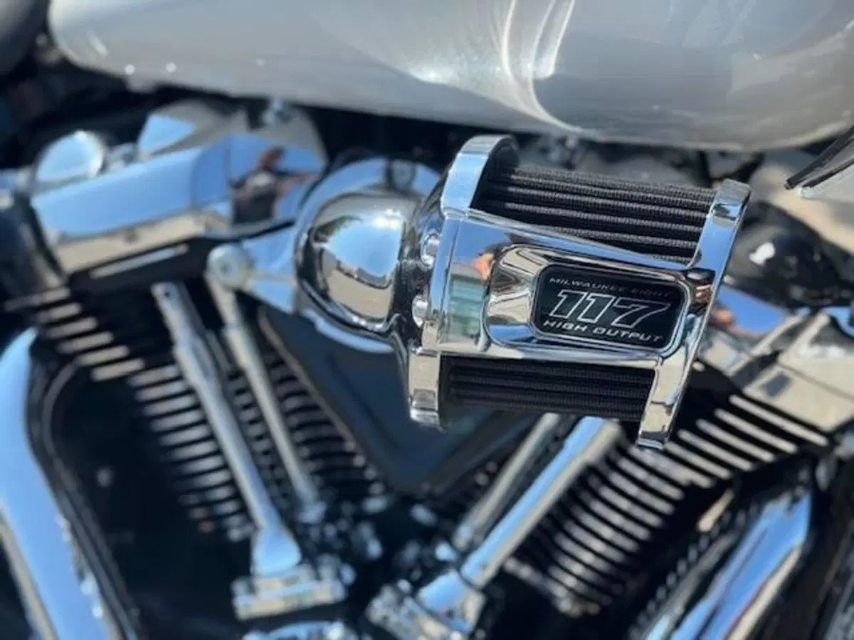 Harley-Davidson Low Rider ST (2025 - 26) (3)