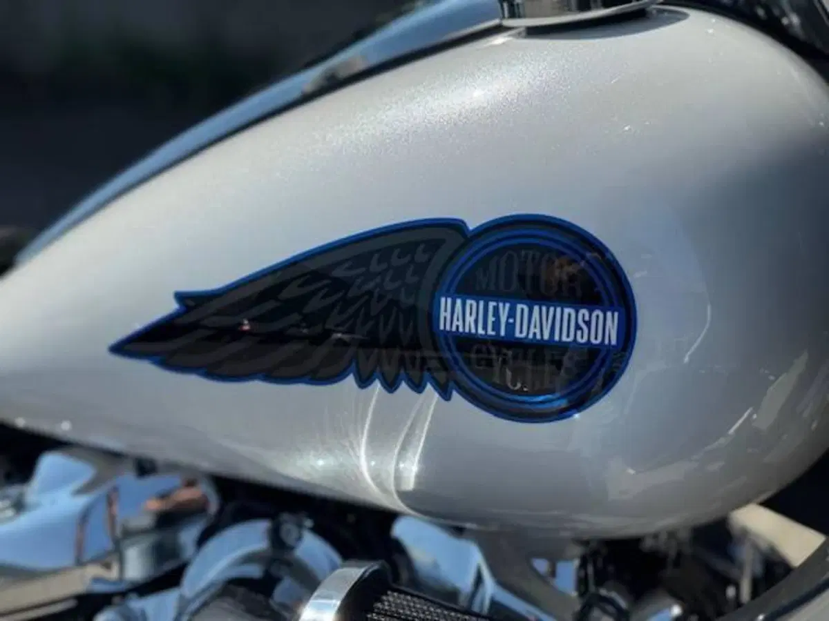 Harley-Davidson Low Rider ST (2025 - 26) (4)