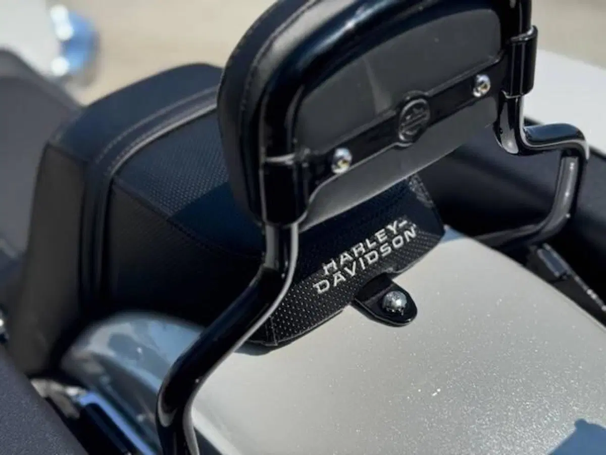 Harley-Davidson Low Rider ST (2025 - 26) (10)