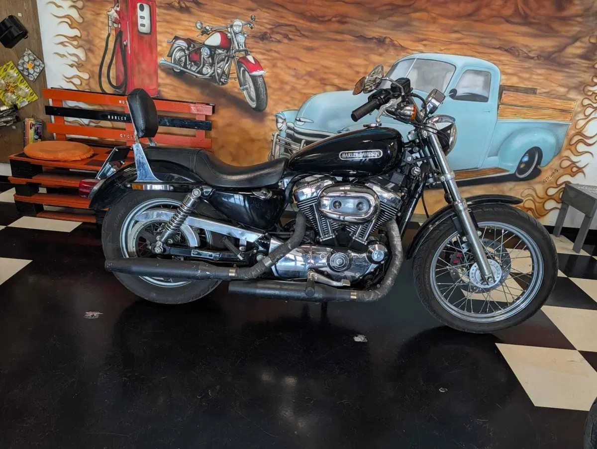Harley-Davidson 1200 Low (2006 - 07) - XL 1200L