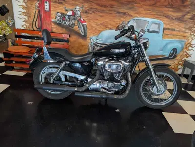 Harley-Davidson 1200 Low (2006 - 07) - XL 1200L usata