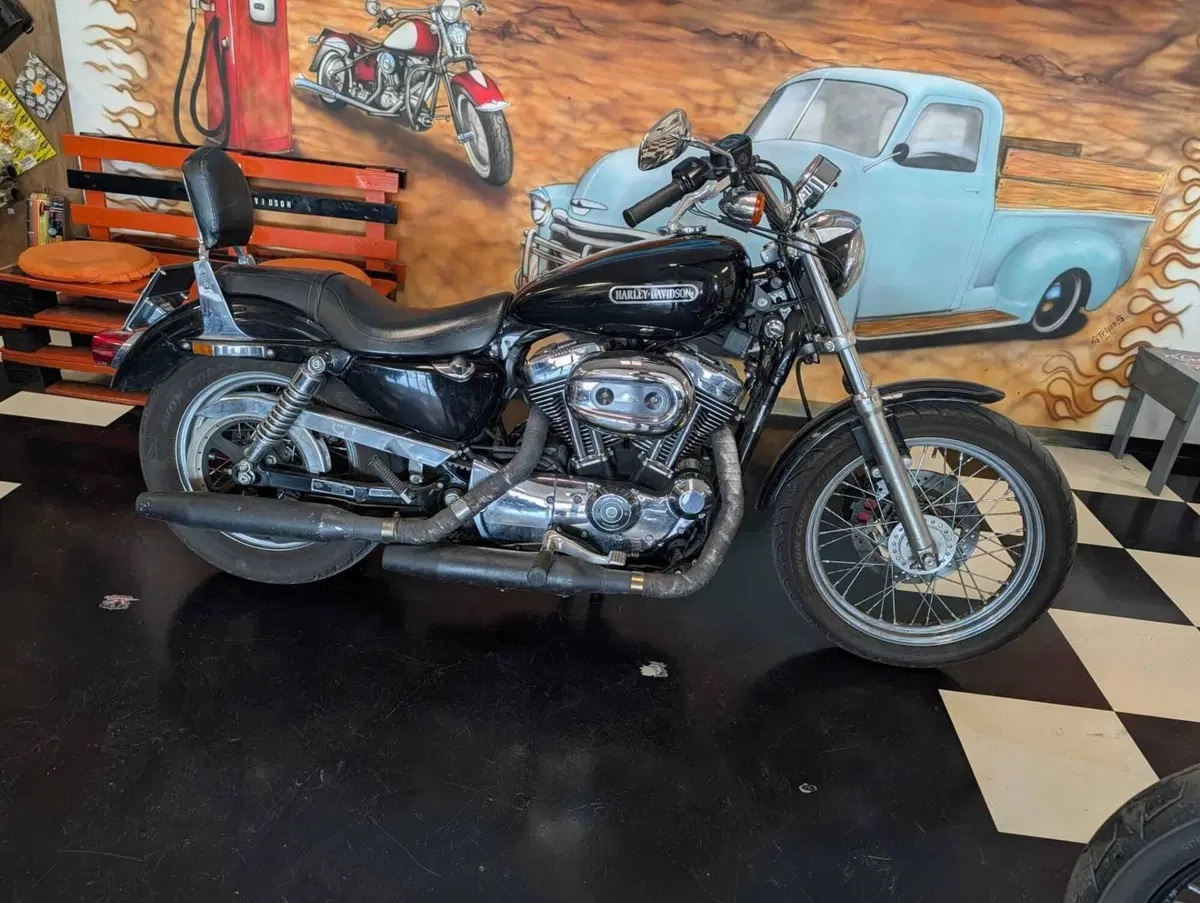 Harley-Davidson 1200 Low (2006 - 07) - XL 1200L (2)
