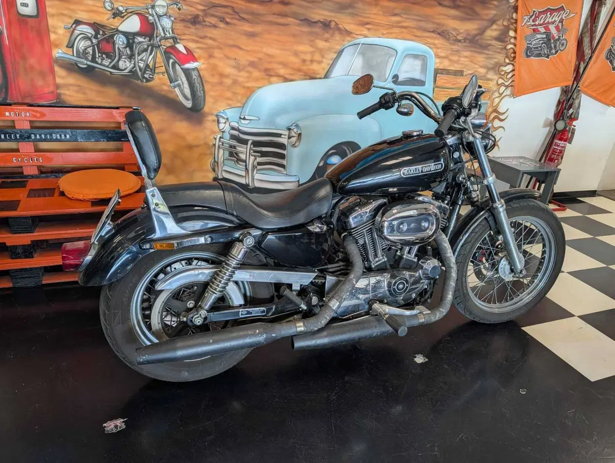 Harley-Davidson 1200 Low (2006 - 07) - XL 1200L (3)