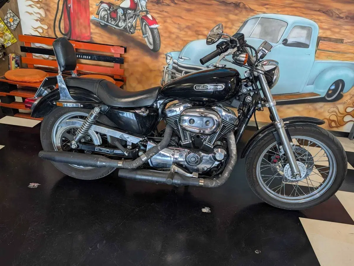 Harley-Davidson 1200 Low (2006 - 07) - XL 1200L (4)