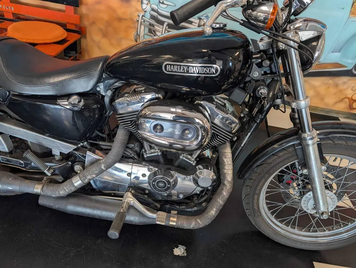 Harley-Davidson 1200 Low (2006 - 07) - XL 1200L (6)