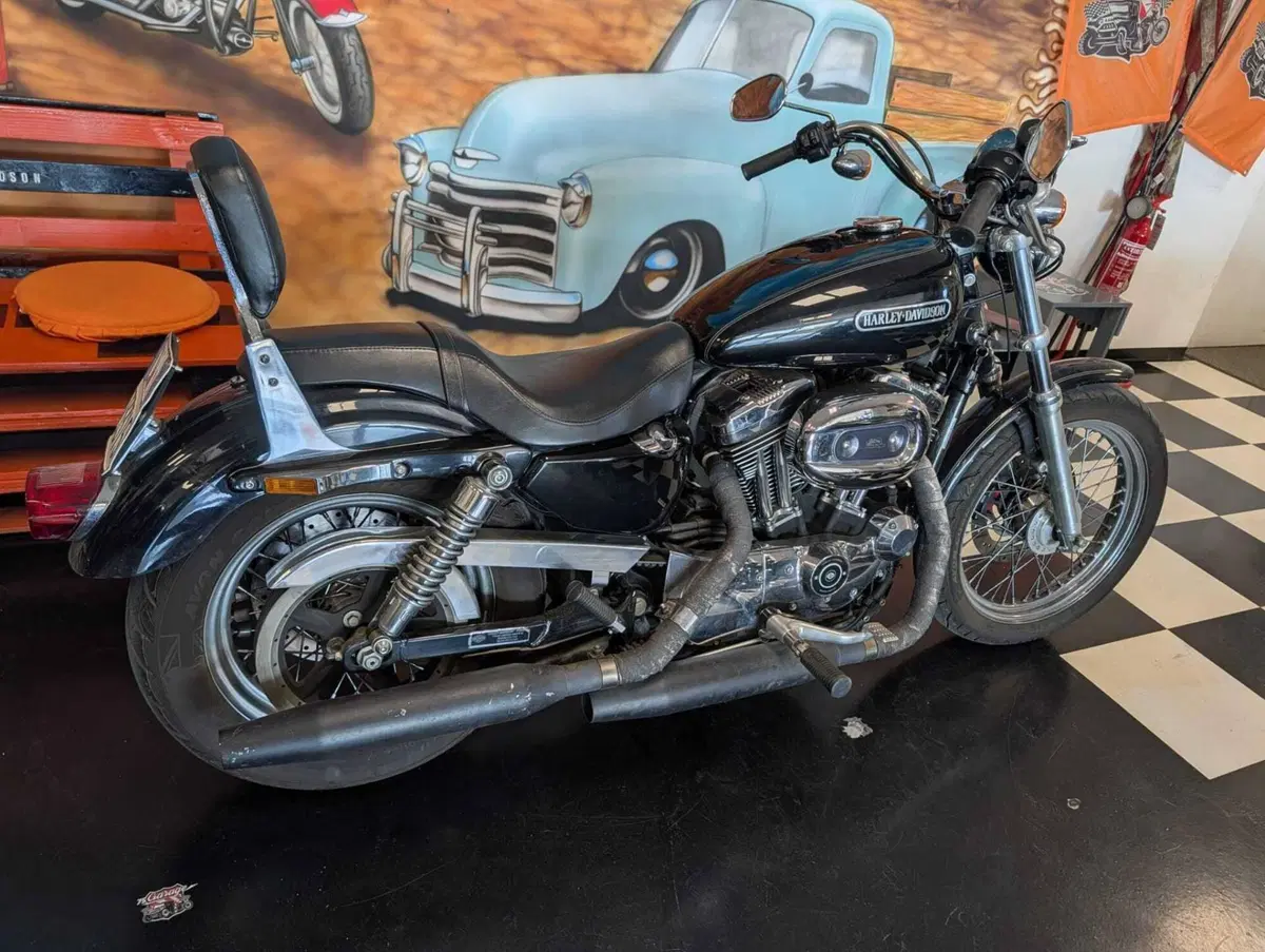 Harley-Davidson 1200 Low (2006 - 07) - XL 1200L (7)
