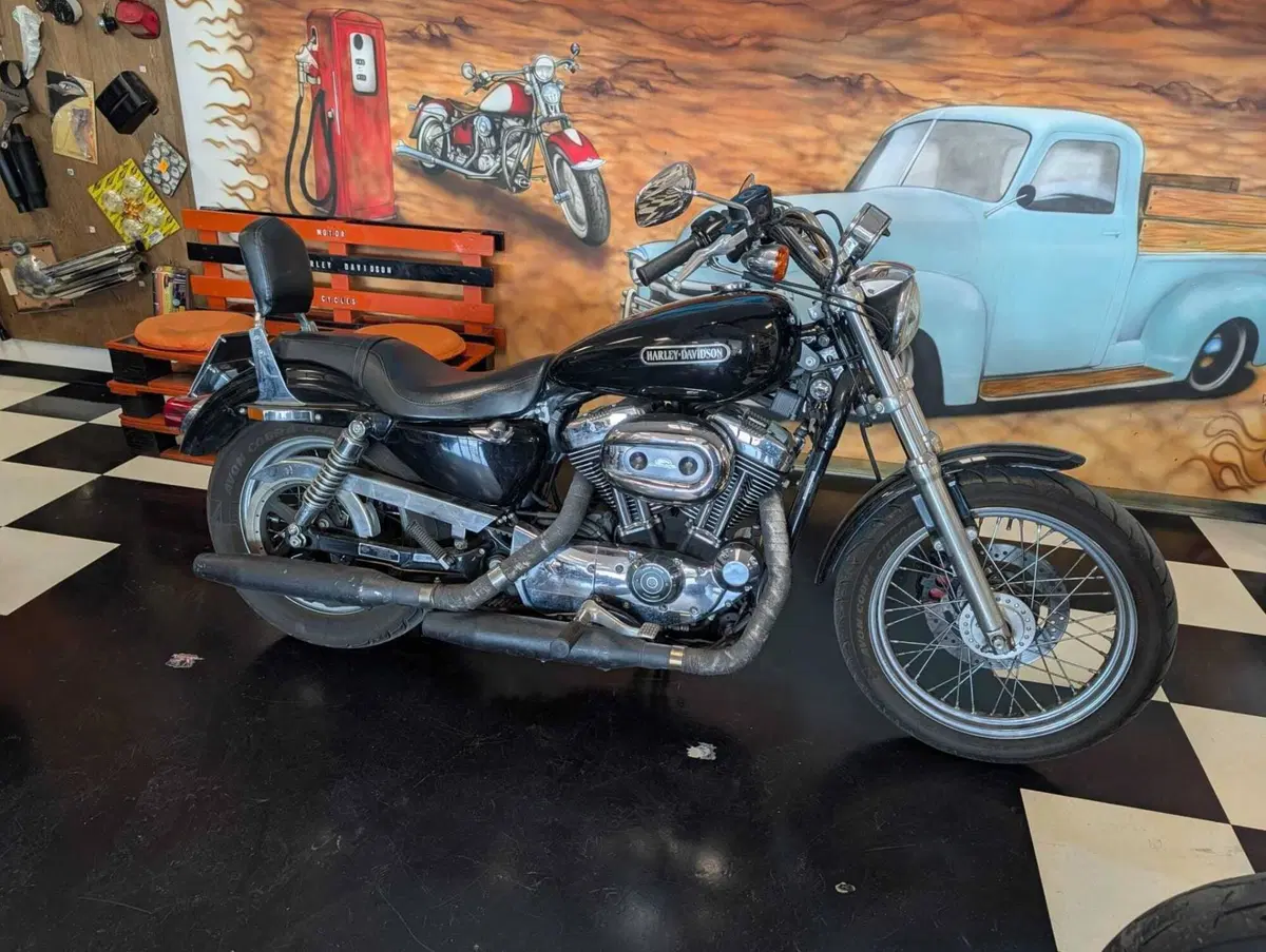 Harley-Davidson 1200 Low (2006 - 07) - XL 1200L (8)