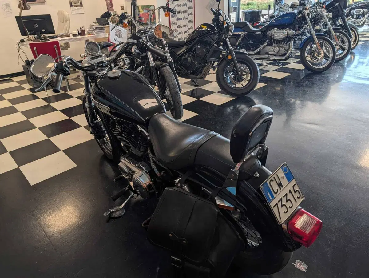 Harley-Davidson 1200 Low (2006 - 07) - XL 1200L (9)