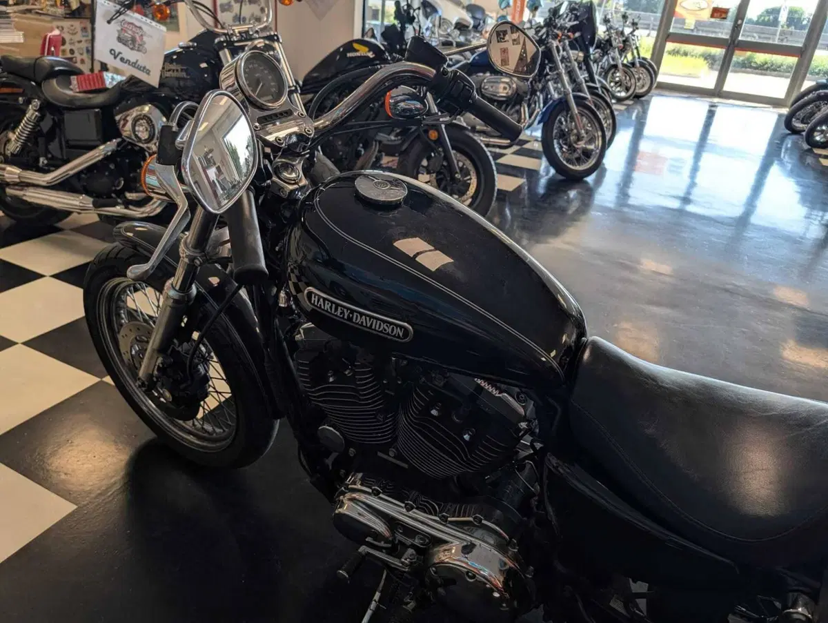 Harley-Davidson 1200 Low (2006 - 07) - XL 1200L (10)