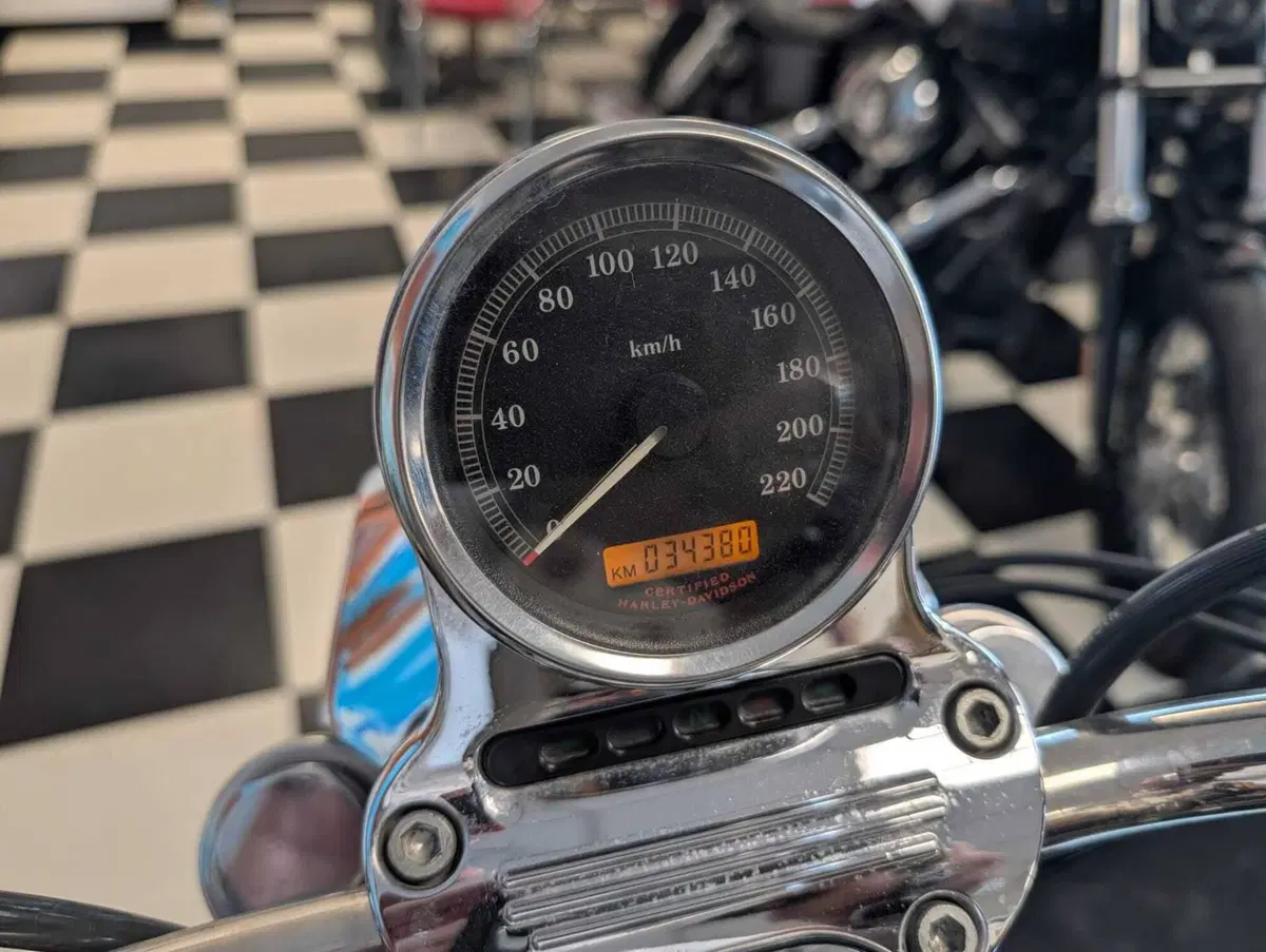 Harley-Davidson 1200 Low (2006 - 07) - XL 1200L (11)