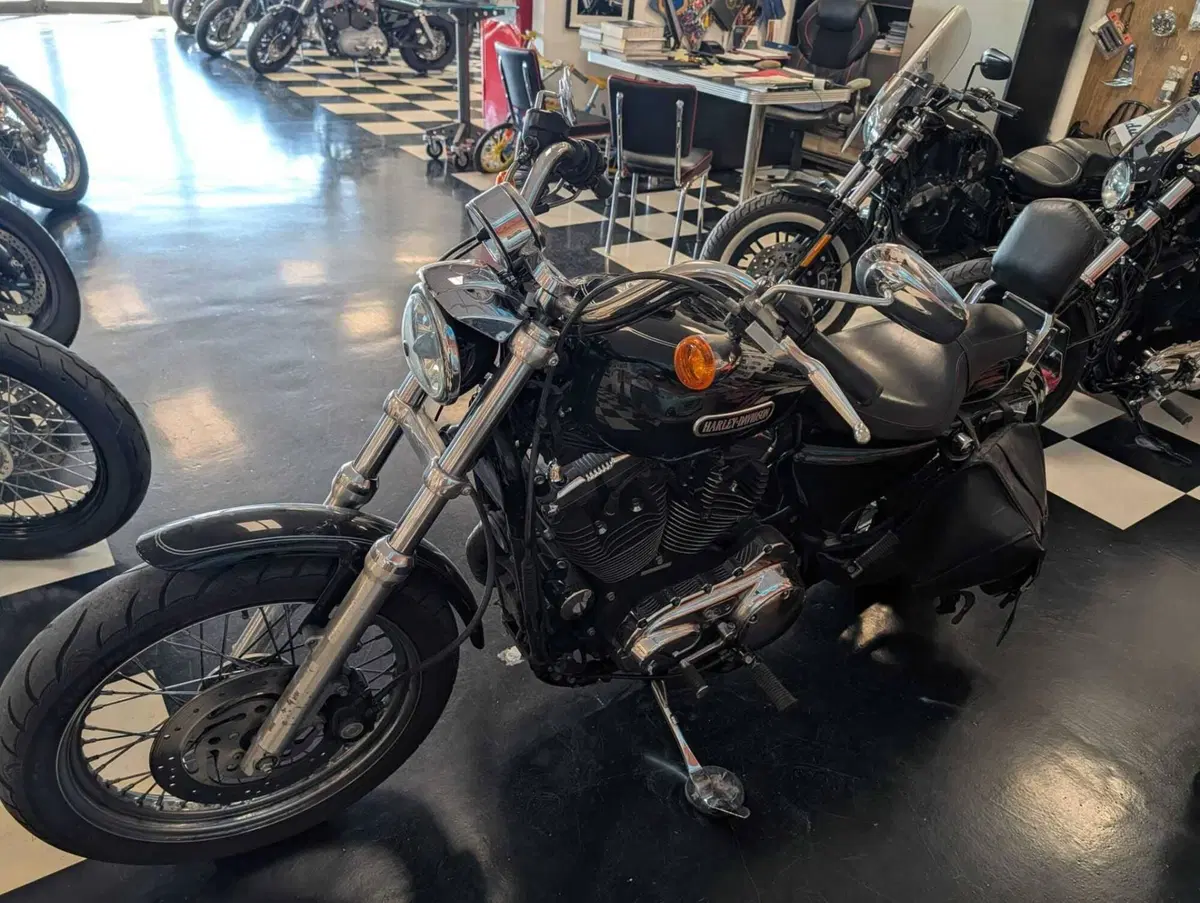 Harley-Davidson 1200 Low (2006 - 07) - XL 1200L (12)