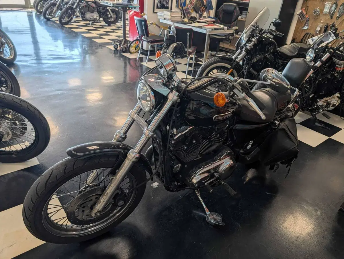 Harley-Davidson 1200 Low (2006 - 07) - XL 1200L (13)