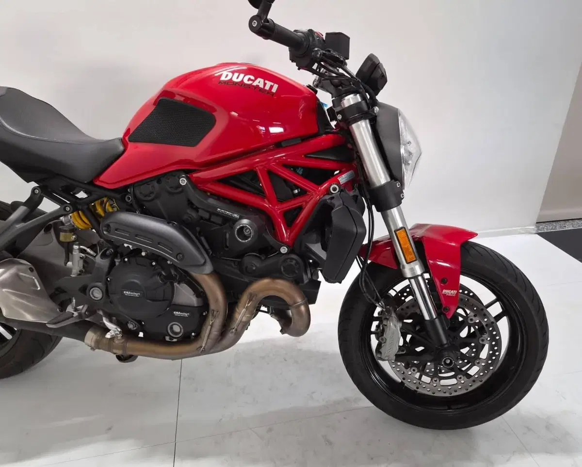 Ducati Monster 821 (2018 - 20) (5)