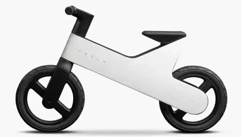 Non ha batteria n&eacute; pedali, ma la prima bici (o moto?) di Tesla &egrave; subito sold-out. Ma va?