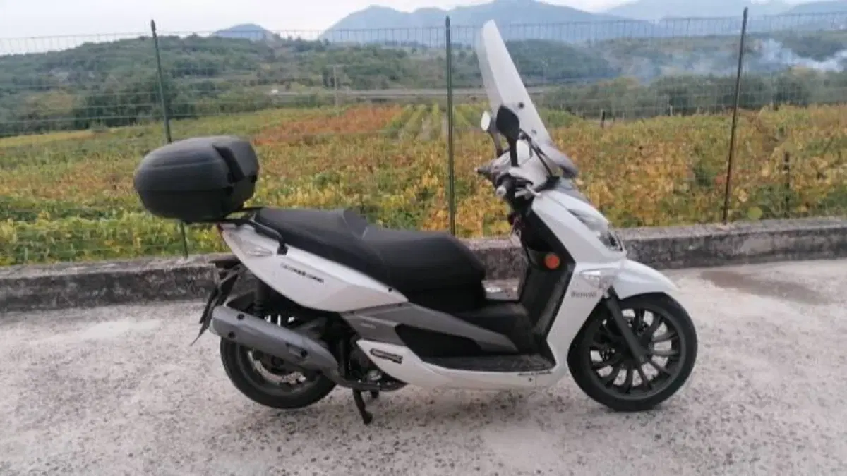 Ricambi Usati Benelli ZenZero 350 Originali Testat (3)
