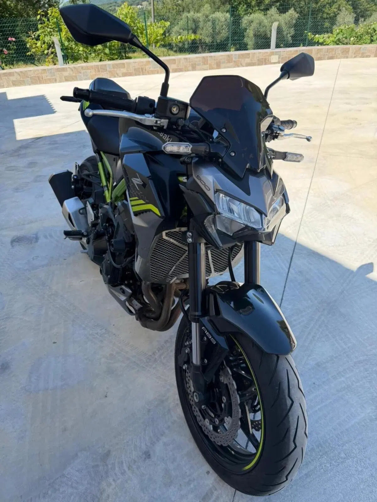 Kawasaki Z 900 (2020) (2)