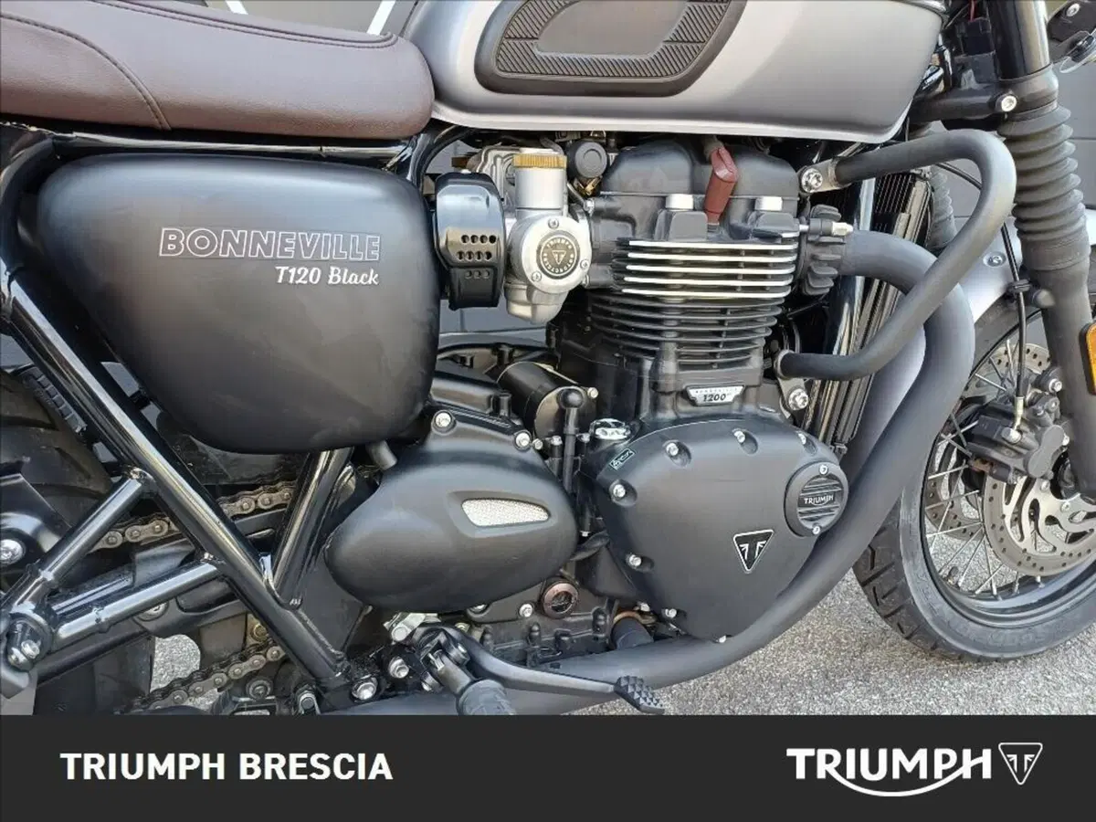 Triumph Bonneville T120 (2016 - 20) (5)