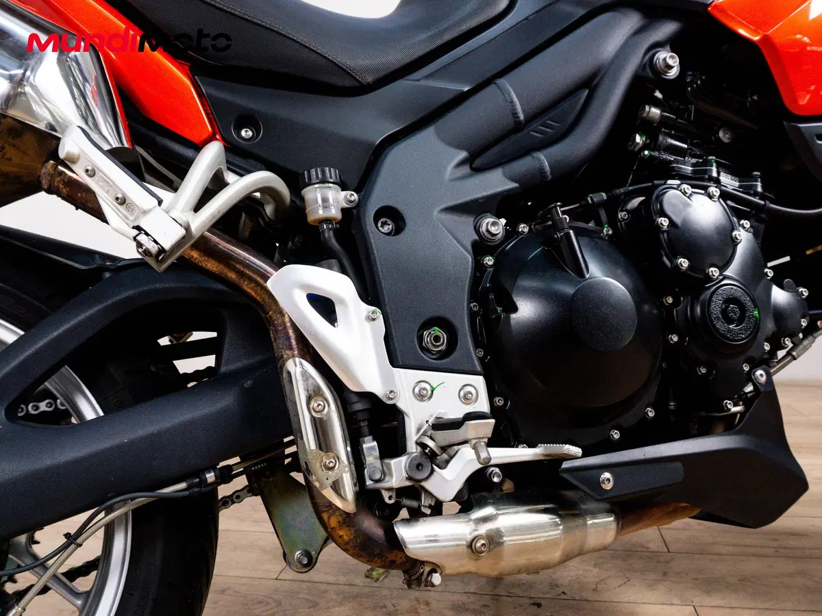 Triumph Tiger 1050 SE ABS (2006 - 13) (4)