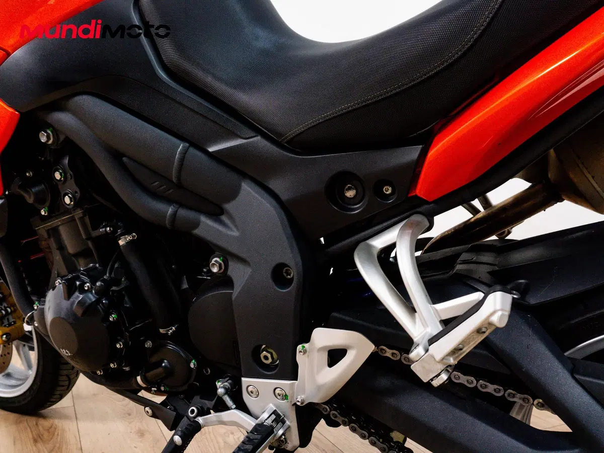 Triumph Tiger 1050 SE ABS (2006 - 13) (10)