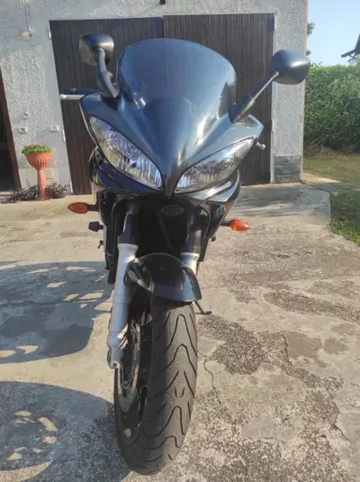 Yamaha FZ6 Fazer (2004 - 07) usata