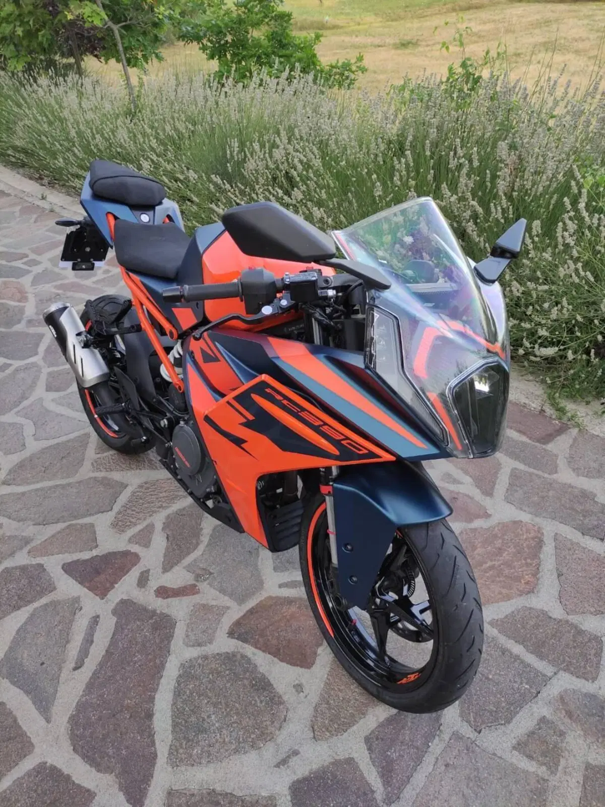 KTM RC 390 (2022 - 26) (6)